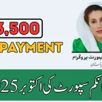 8171 Web Portal 13500 Payment Status October 2025
