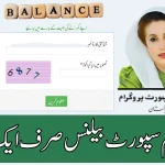 BISP Check Balance Online by CNIC 2025 8171 Web Portal