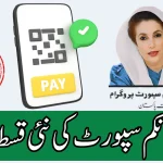 BISP Payment Check Online CNIC 8171