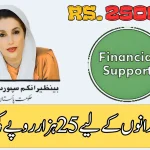 Ehsaas Program CNIC Check Online 25000 Registration October 2025