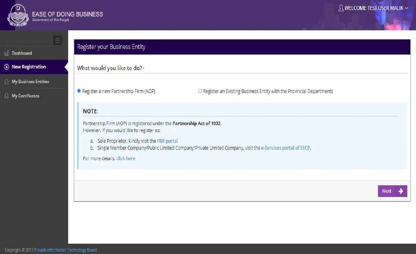 Filling the Business Entity Details
