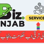 Punjab eBiz Portal Services List 2025 One Window Facilities