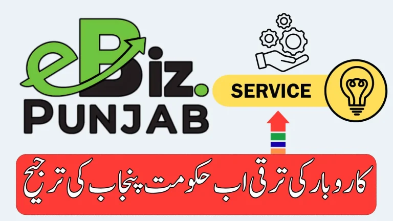 Punjab eBiz Portal Services List 2025 One Window Facilities