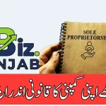 How To Register a Sole Proprietorship in eBiz Punjab 2025