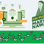 eBiz Punjab Dlims Driving License Check Online By CNIC