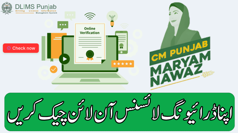 eBiz Punjab Dlims Driving License Check Online By CNIC