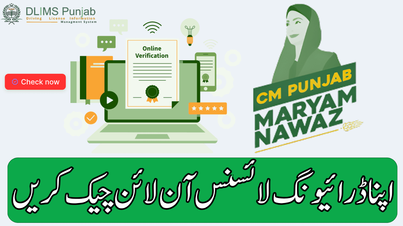 eBiz Punjab Dlims Driving License Check Online By CNIC