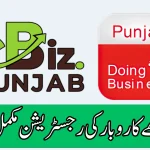 eBiz Punjab Ease of Doing Business Login Procedure 2025 Simple and Fast